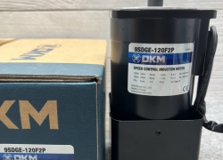 Motor DKM - Model 9SDGE-120F2P (120W - 90mm)