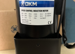 Motor DKM - Model 9SDGE-90F2P (90W - 90mm)