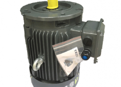 Motor TECO mặt bích