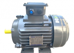 Catalogue mô tơ TECO AESV2U-AESU2U