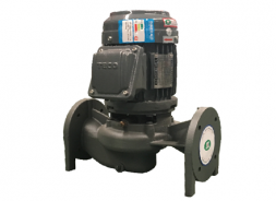  Máy Bơm trục TECO