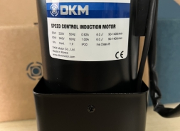 Motor DKM - Model 9SDGE-90F2P (90W - 90mm)
