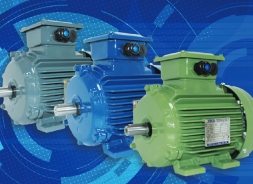 Motor TECO IE1-IE2-IE3
