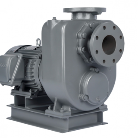 Máy bơm động cơ TECO trục ly tâm tự mồi GMP/KMP