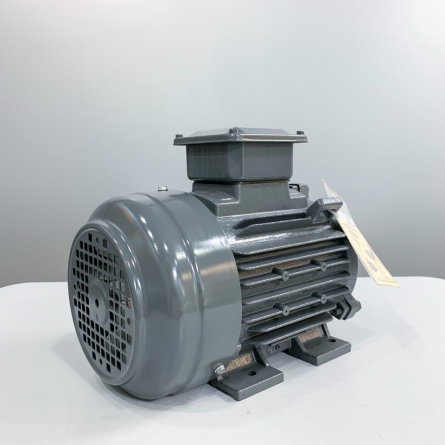 motor 3pha TECO chân đế